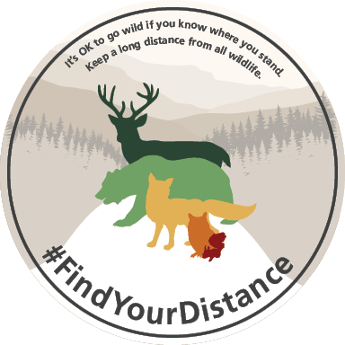 Safe Wildlife Distance - Environmental Social Marketing